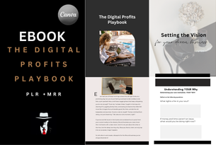 The Digital Profits Playbook