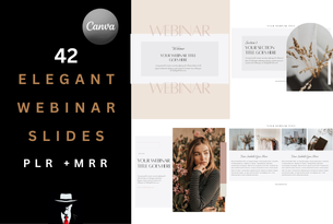 42 Elegant Webinar Slides
